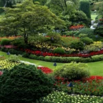Tree services Blackpool