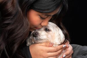 Animal Communicator