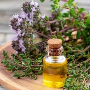 Thyme Oil Manufacturers 