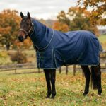 Keeping Your Horse Comfortable Year-Round: A Complete Guide to Equine Blanketing