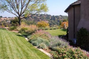 landscape design anne arundel county md