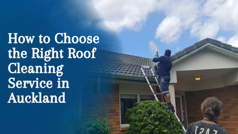Right Roof Cleaning Service in Auckland