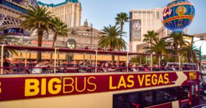 Las Vegas hop on hop off bus