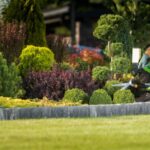 What Does Professional Landscaping Include