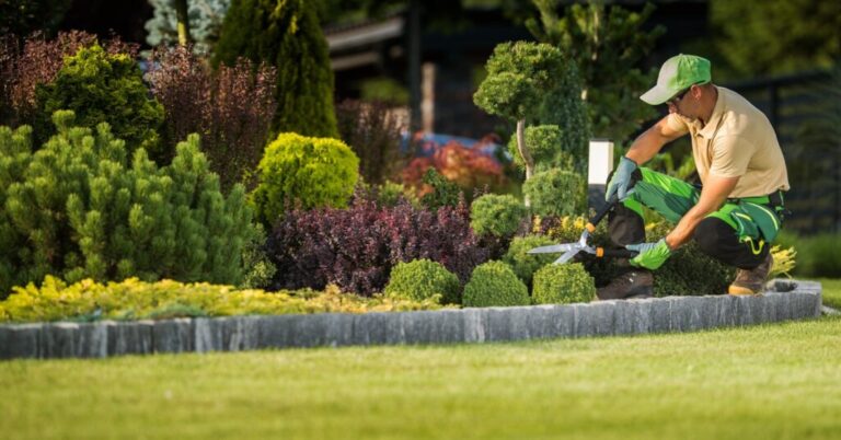 What Does Professional Landscaping Include