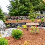 Xeriscape in Austin Texas