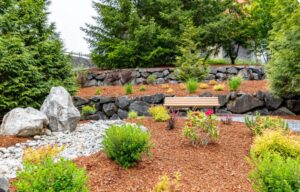 Xeriscape in Austin Texas