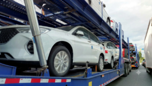 car transport (2)