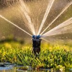 Lawn maintenance Grapevine