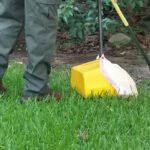 pet_waste_removal