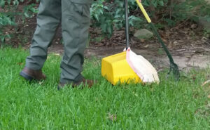 pet_waste_removal